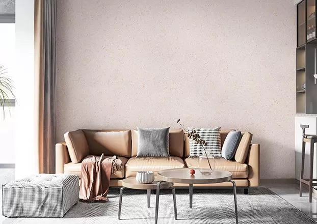 EcoPlaster Denhaag